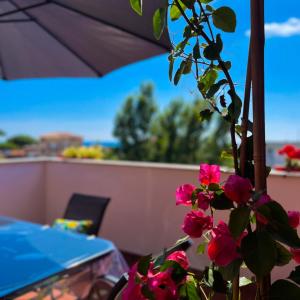 eine Pflanze mit rosa Blumen und einem Regenschirm auf dem Balkon in der Unterkunft Kesya Seaview Apartment - Attico - 50mt dal mare in Anzio