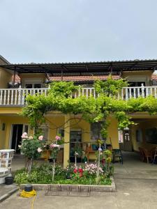 a building with a lot of flowers and plants at Vila de lux in Bela Crkva