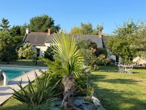 eine Palme in einem Garten neben einem Pool in der Unterkunft Chambres d hôtes avec Piscine et Spa La Folière Saumur in Villebernier