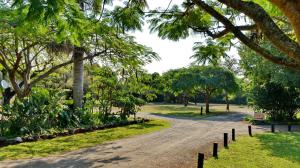 a dirt road in a park with trees and grass at Komati River Chalets in Komatipoort