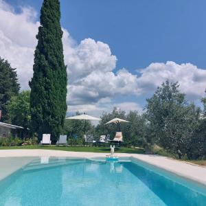 una piscina en un patio con un árbol en Apartments Casa Tijola en Sečovlje