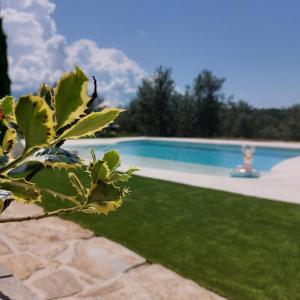 uma planta em frente a uma piscina em Apartments Casa Tijola em Secovlje