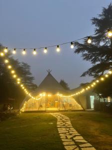 Everest Base Camp, Near George Everest House, 5kms from Library chowk外面的花园