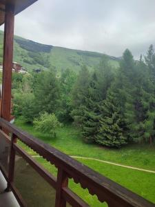 a view of a forest of trees from a balcony at Studio 4-6 couchages.pied des pistes.Résidence Montana1 in Les Deux Alpes