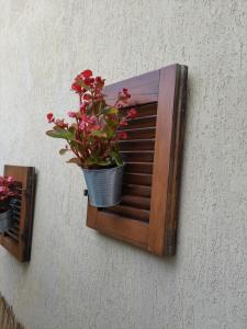 a plant in a pot on a wall at GreenHouse_Anzio in Anzio +22 photos