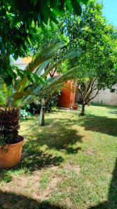 a group of trees in a yard next to a building at GreenHouse_Anzio in Anzio