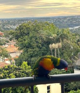 un perroquet coloré assis au-dessus d'un rail dans l'établissement Mosman Views, 2bed, Parking, 15min Walk to Beach, à Sydney