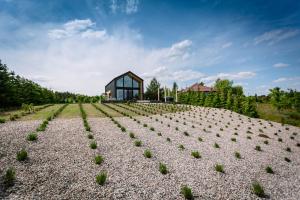 una casa en la cima de una colina con plantas en Stodoła lawendowe wzgórze na Pałukach polożona w malowniczej okolicy Oćwieka z zewnętrznym jacuzzi, 
