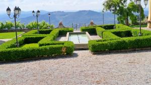 einen Garten mit Hecken und einem Pool in der Mitte in der Unterkunft Dépendance in Villa Albachiara e Primaluce in Carmignano