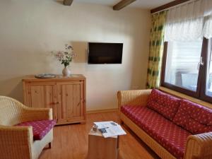 un soggiorno con divano e TV di Waldblick a Laudenbach