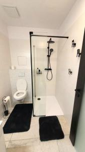a bathroom with a shower and a toilet at LOFT pri parku, Air conditioned, free private parking in Banská Bystrica
