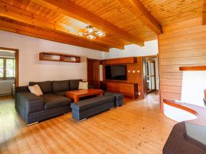 ein Wohnzimmer mit einem Sofa und einem TV in der Unterkunft Holiday Home Kunějov by Interhome in Člunek