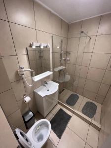 La salle de bains est pourvue d'un lavabo, de toilettes et d'une douche. dans l'établissement Buenos Dias, à Mamaia Nord – Năvodari