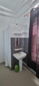 La salle de bains est pourvue d'un lavabo et d'un rideau de douche. dans l'établissement Hotel Aboukir, à Paris