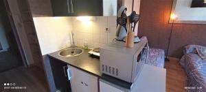 eine Küche mit einer Theke mit einer Spüle und einer Mikrowelle in der Unterkunft STUDIO hyper-centre de LIMOGES in Limoges
