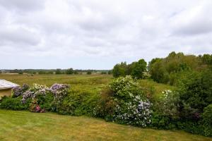 a field of flowers with a house in the background at Urlaubs-Appartement am Dorfrand in Wieck