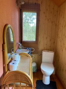 uma casa de banho com um WC, um lavatório e um espelho. em Glampspace - Wikingówka em Międzybrodzie Bialskie