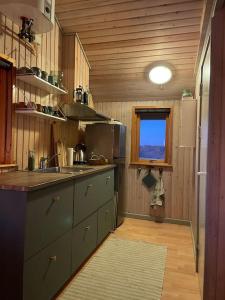 uma cozinha com um lavatório e uma bancada em Skønt hus gåafstand til tornby strand em Hirtshals