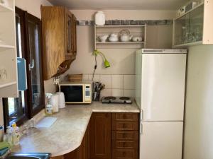 a kitchen with a white refrigerator and a microwave at Glampspace - Wikingówka in Międzybrodzie Bialskie