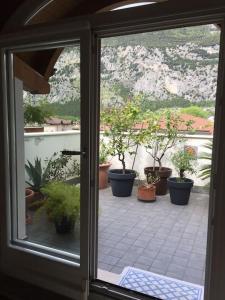 Zahrada ubytování casa SOFIA (cipat022079-AT-012217)