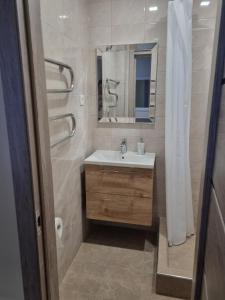 een badkamer met een wastafel en een spiegel bij Park Alice Apartment in Liepāja