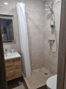 een badkamer met een douche, een wastafel en een toilet bij Park Alice Apartment in Liepāja