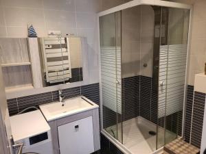 een kleine badkamer met een wastafel en een douche bij Appartement Cocooning in Ars-sur-Moselle