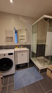 een keuken met een wasmachine en een douche bij Appartement Cocooning in Ars-sur-Moselle