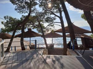 Naturlandskabet i nærheden af lejligheden