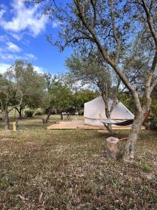 ノートにあるLa ViTa in land - between olives and almondsの木の横の野原の上に座るテント