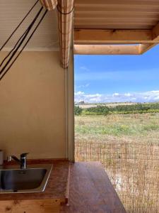 eine Küche mit einer Spüle und Blick auf ein Feld in der Unterkunft La ViTa in land - between olives and almonds in Noto