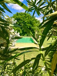 Bassein majutusasutuses Le Patio, chambres d hôtes pour adultes en Camargue, possibilité de naturisme à la piscine, või selle lähedal