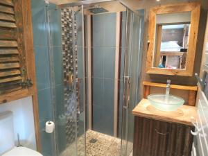 a bathroom with a glass shower and a sink at Le Montana - Studio rue du Centre - Cosy et Montagnard - Navette in Les Gets