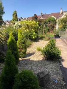 a garden with several bushes and a pathway at The Burnham House in Bath