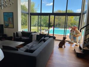 ein Wohnzimmer mit einem Sofa, einem Hund und einem Pool in der Unterkunft Maison Proche de Le Mans Classique in Changé