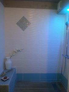 a shower in a bathroom with blue and white tiles at PARENTHÈSE NATURE in Canet-en-Roussillon