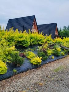 un jardín con plantas amarillas y una casa de fondo en Bies-Czaderskie Chaty en Ustrzyki Dolne