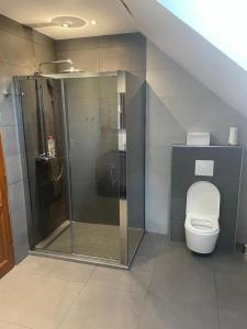 ein Badezimmer mit Dusche und Toilette in der Unterkunft Le Logis Du Regisseur Gite in Charny + 12 Fotos