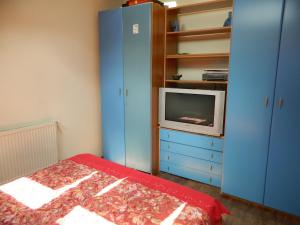 1 dormitorio con cama y vestidor con TV en Cazare Vio, en Cluj-Napoca