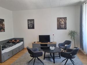Televízia a/alebo spoločenská miestnosť v ubytovaní Černý Tulipán - Apartmán 1