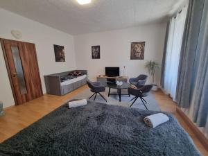 Posedenie v ubytovaní Černý Tulipán - Apartmán 1
