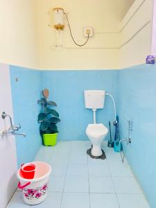 a blue bathroom with a toilet and a plant at Crossroads Hostel 1980 in Mysore