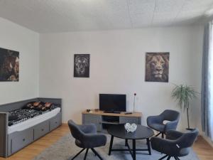 Televízia a/alebo spoločenská miestnosť v ubytovaní Černý Tulipán - Apartmán 1