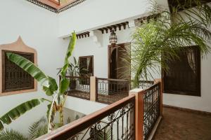 a staircase in a house with plants at Riad Dar Dialkoum in Marrakesh