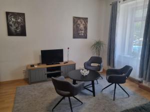 Televízia a/alebo spoločenská miestnosť v ubytovaní Černý Tulipán - Apartmán 1