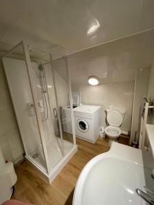 a bathroom with a shower and a toilet and a sink at F4 6 personnes proche centre Mont Dore in Le Mont-Dore
