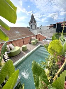 a pool on the roof of a building with plants at AmazINN Places Hotel Boutique Casa Marichu in Panama City