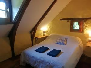 a bedroom with a bed with two blue pillows on it at La Petite Maison Pont Blanchard, in Pléaux