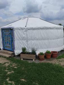 Jurta na zvířecí farmě : خيمة بيضاء كبيرة مع نباتات في الفناء