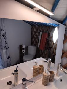 un bagno con specchio, lavandino e servizi igienici di Jurta na zvířecí farmě 
